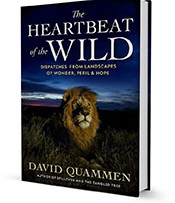 The Heartbeat of the Wild