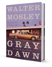 Gray Dawn