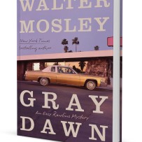 Gray Dawn