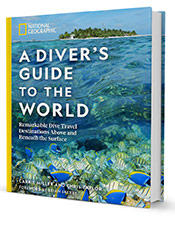 A Diver’s Guide to the World