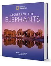 Secrets of the Elephants